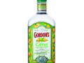 Gordon's Citrus Vodka(ゴードン シトラス ウォッカ)